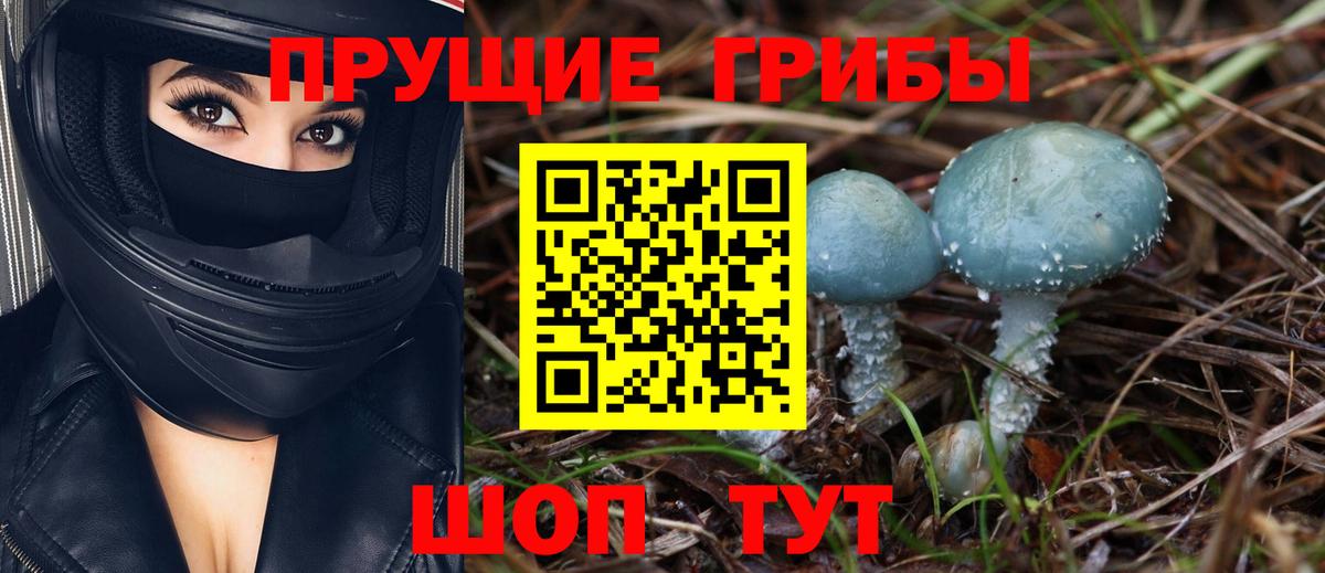 Менделеевск  Галлюциногенные грибы MAGIC MUSHROOMS  Вход с VPN 